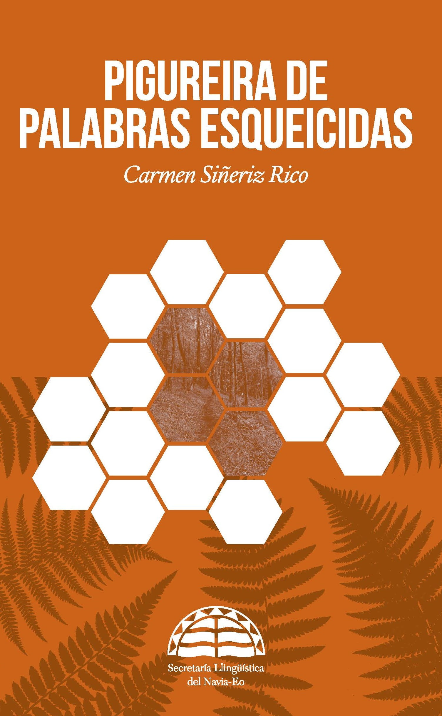 Pigureira de palabras esqueicidas
